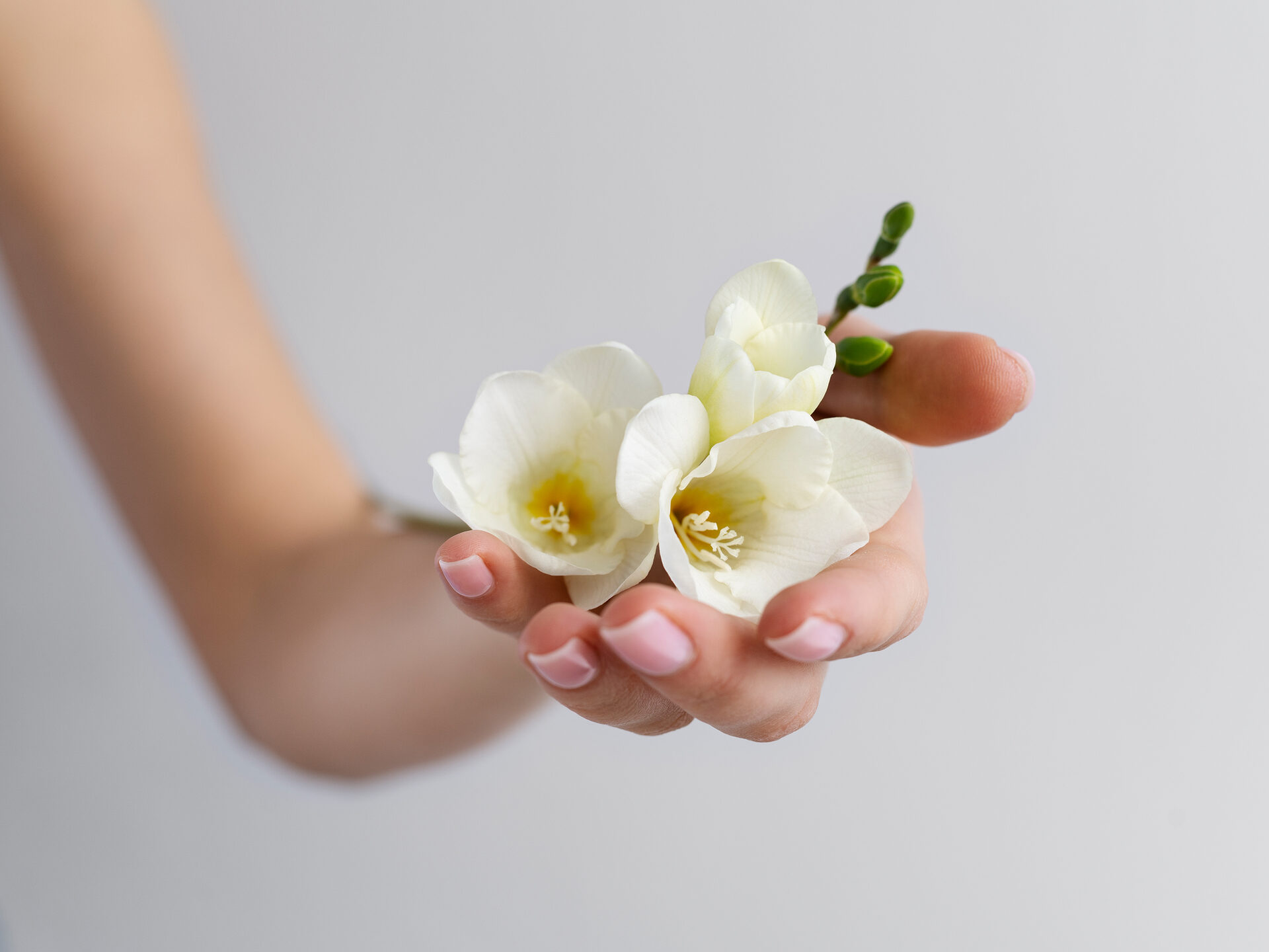 Mano che regge un fiore